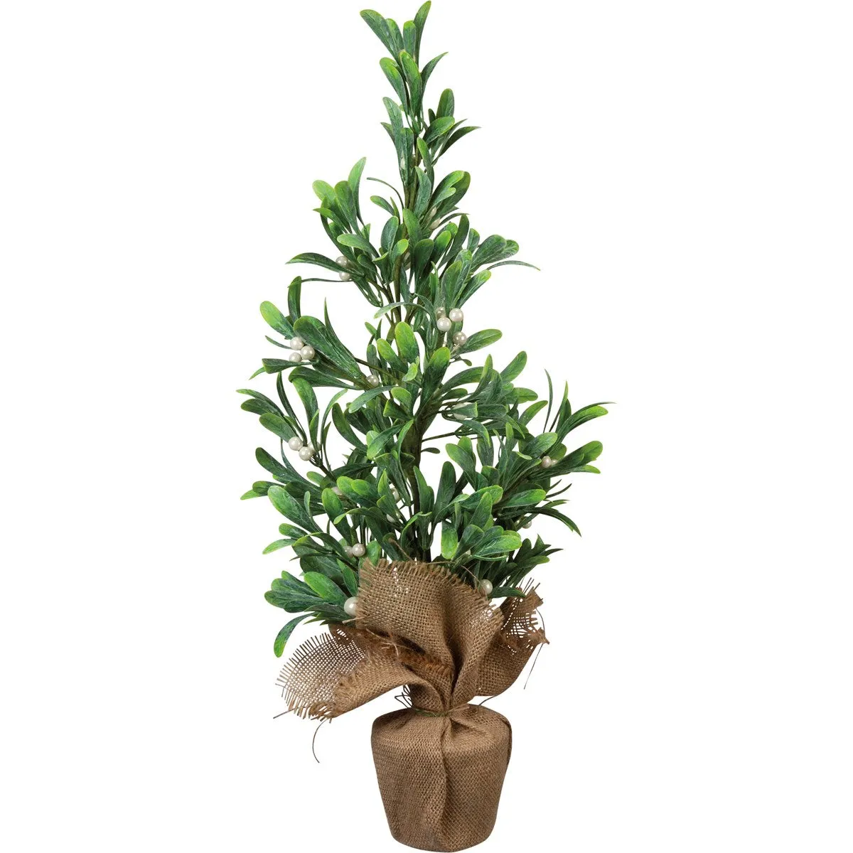 Mistletoe Tree