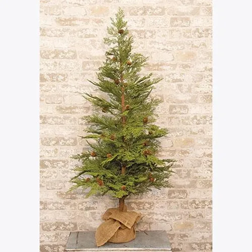 North Rim Hemlock 48"